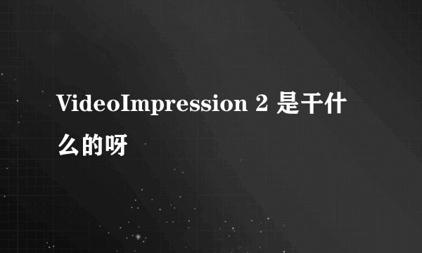 VideoImpression 2 是干什么的呀