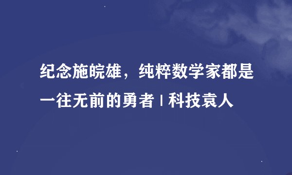 纪念施皖雄，纯粹数学家都是一往无前的勇者 | 科技袁人