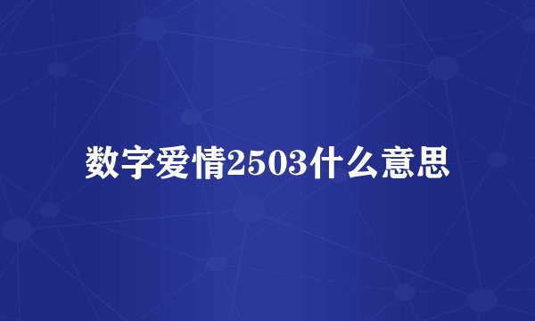 数字爱情2503什么意思