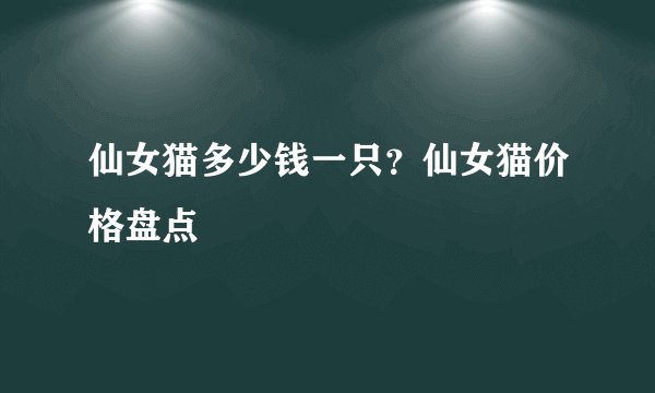 仙女猫多少钱一只？仙女猫价格盘点