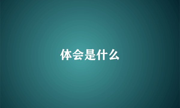 体会是什么