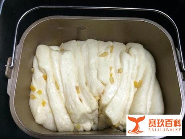 东菱面包机哪个型号好 东菱面包机做面包的方法 盘点一下