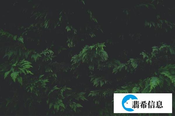 名人名言|七堇年经典语录33句