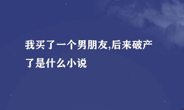 我买了一个男朋友,后来破产了是什么小说