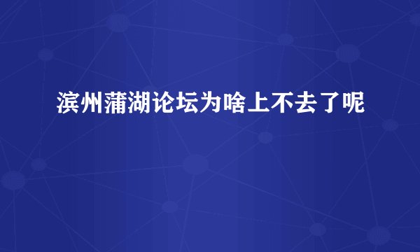 滨州蒲湖论坛为啥上不去了呢