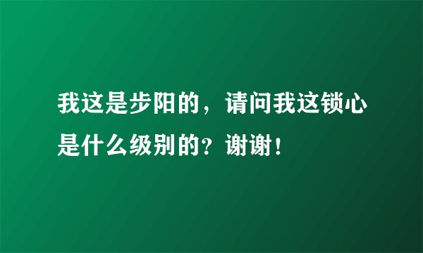 我这是步阳的，请问我这锁心是什么级别的？谢谢！