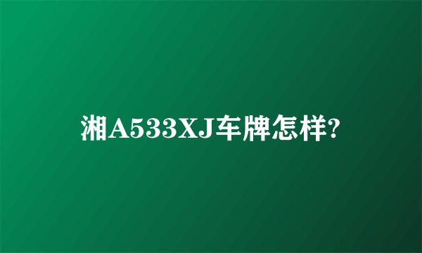 湘A533XJ车牌怎样?