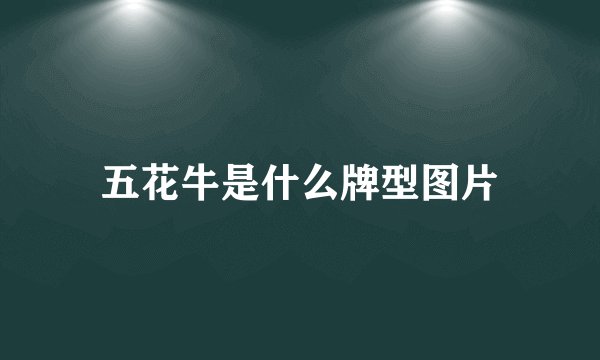 五花牛是什么牌型图片