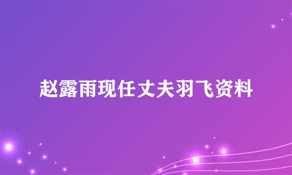 赵露雨现任丈夫羽飞资料