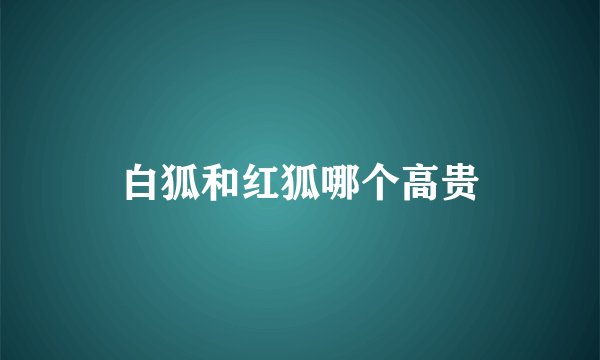 白狐和红狐哪个高贵