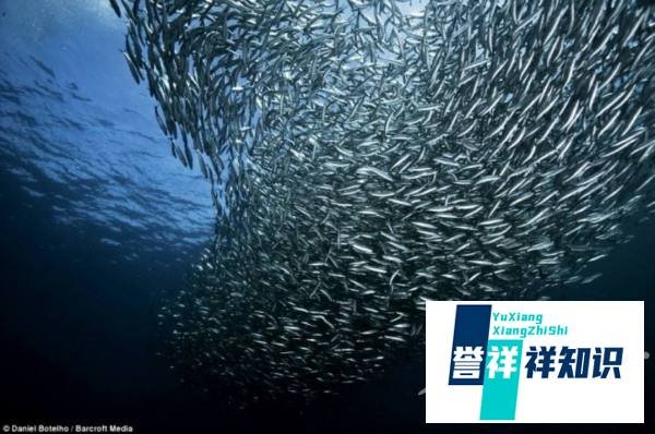 心想事成成语接龙怎么接