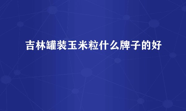 吉林罐装玉米粒什么牌子的好