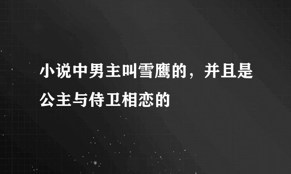 小说中男主叫雪鹰的，并且是公主与侍卫相恋的