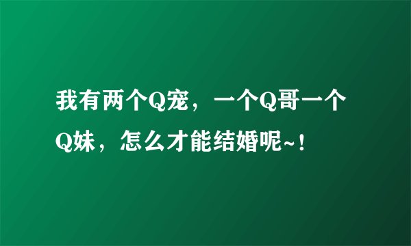 我有两个Q宠，一个Q哥一个Q妹，怎么才能结婚呢~！