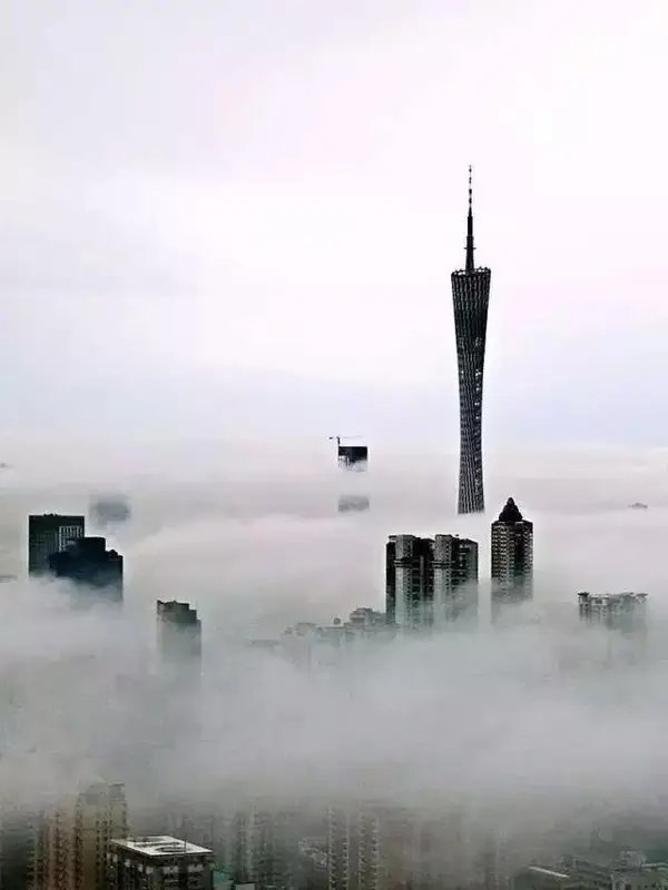 广州小蛮腰雨后美成水墨画，这里的景色有多美？