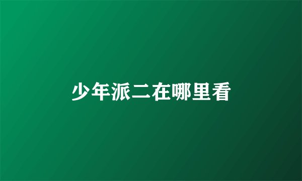 少年派二在哪里看