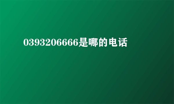 0393206666是哪的电话