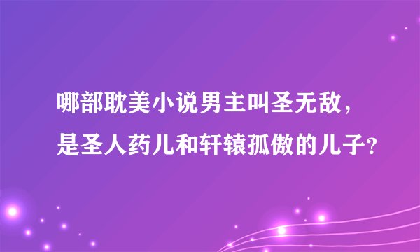哪部耽美小说男主叫圣无敌，是圣人药儿和轩辕孤傲的儿子？