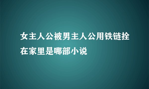 女主人公被男主人公用铁链拴在家里是哪部小说