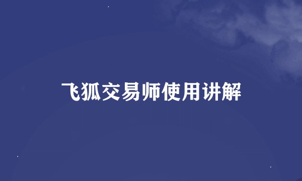 飞狐交易师使用讲解