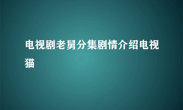 电视剧老舅分集剧情介绍电视猫