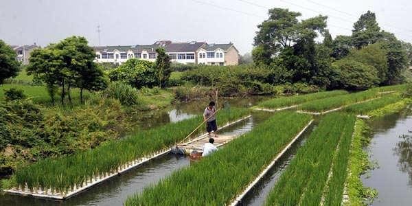 生态浮岛作用与生态浮岛施工方案