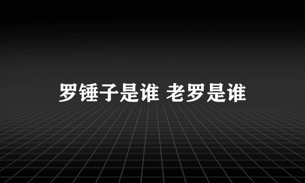 罗锤子是谁 老罗是谁