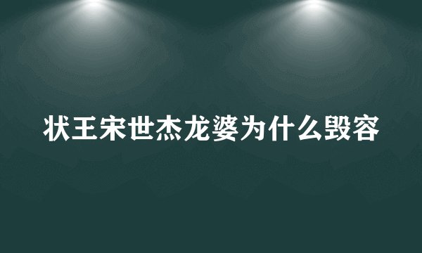 状王宋世杰龙婆为什么毁容