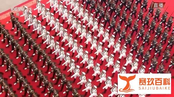 礼兵队伍俯拍太震撼了 这是咋情况？