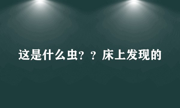 这是什么虫？？床上发现的