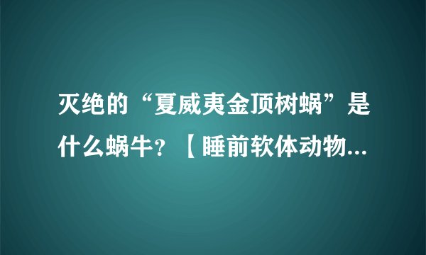 灭绝的“夏威夷金顶树蜗”是什么蜗牛？【睡前软体动物学299】