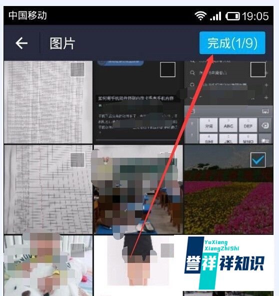 支付宝朋友圈在哪里,怎么用?