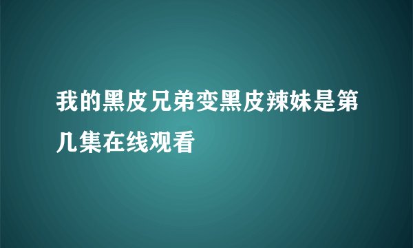我的黑皮兄弟变黑皮辣妹是第几集在线观看