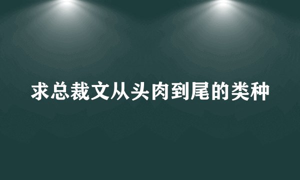 求总裁文从头肉到尾的类种