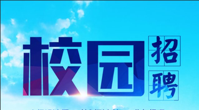 什么是sp和ssp？