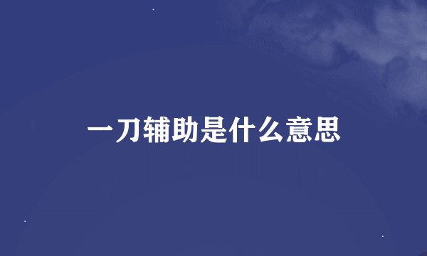 一刀辅助是什么意思