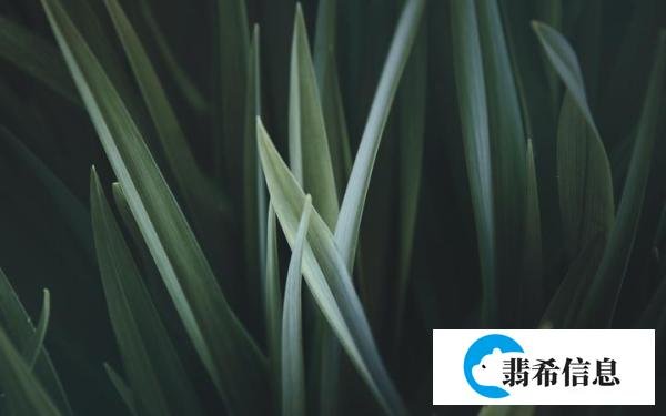 名人名言|七堇年经典语录33句