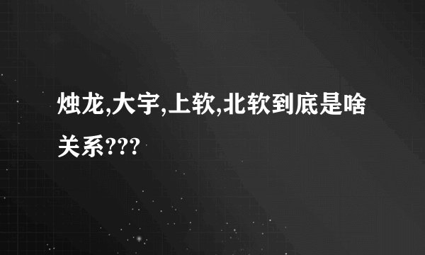 烛龙,大宇,上软,北软到底是啥关系???