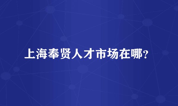 上海奉贤人才市场在哪？