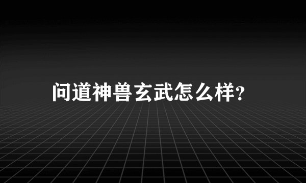 问道神兽玄武怎么样？