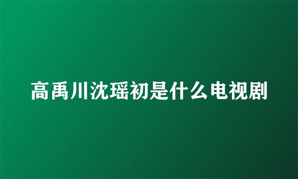 高禹川沈瑶初是什么电视剧