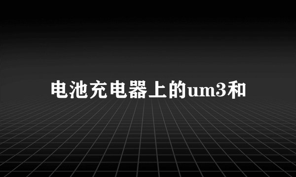 电池充电器上的um3和