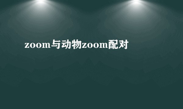 zoom与动物zoom配对