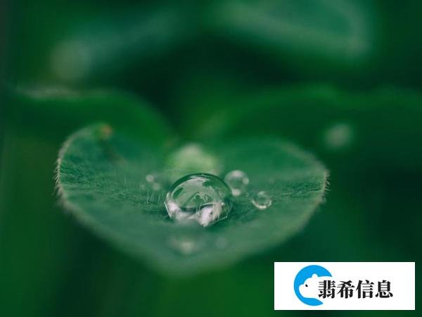 名人名言｜七堇年经典语录33句