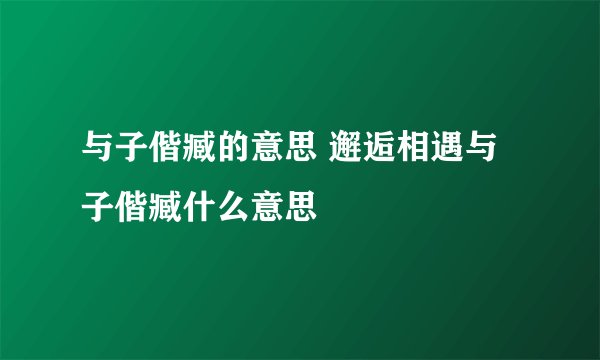 与子偕臧的意思 邂逅相遇与子偕臧什么意思