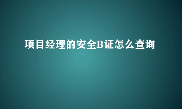 项目经理的安全B证怎么查询