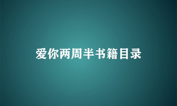 爱你两周半书籍目录