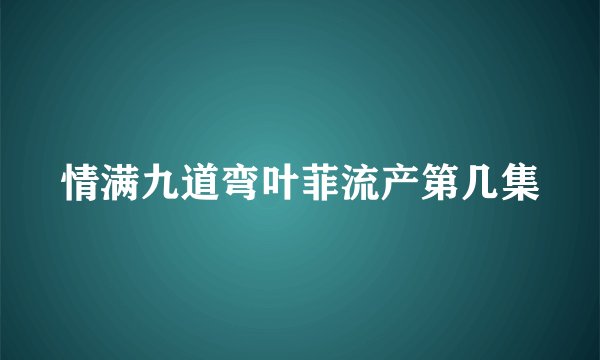 情满九道弯叶菲流产第几集