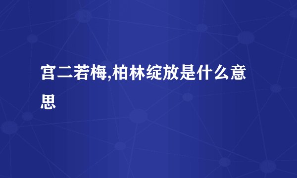 宫二若梅,柏林绽放是什么意思