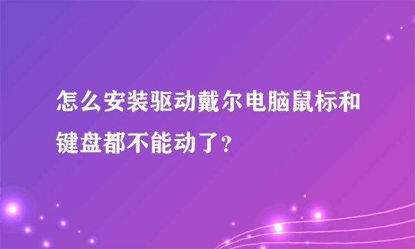 怎么安装驱动戴尔电脑鼠标和键盘都不能动了？